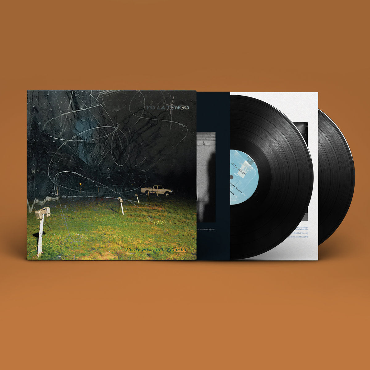 Yo La Tengo - This Stupid World (Black) Vinyl 2LP