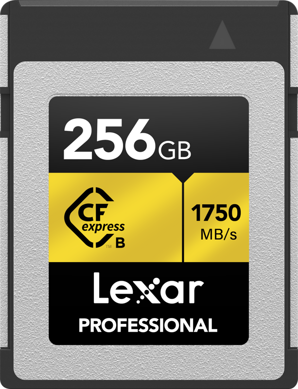 Lexar CFexpress Pro Gold R1750/W1500 256 GB hukommelseskort