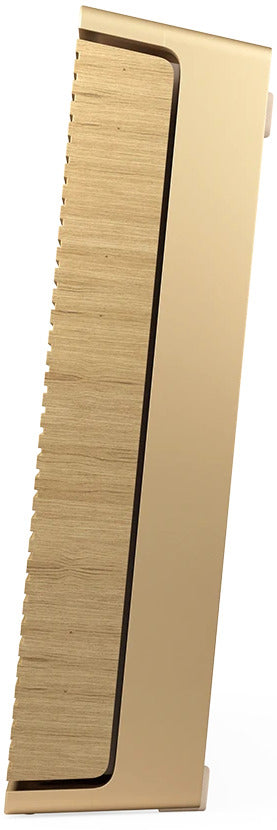 Bang &amp; Olufsen Beosound niveau (guld tone)