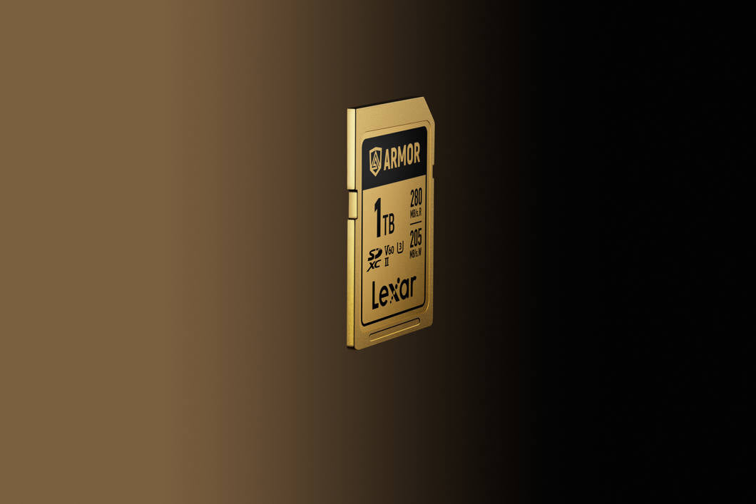 Lexar SDXC ARMOR Gold UHS-II U3, Stainless Steel, IP68 R280/W210 (V60) 1TB Memory Card