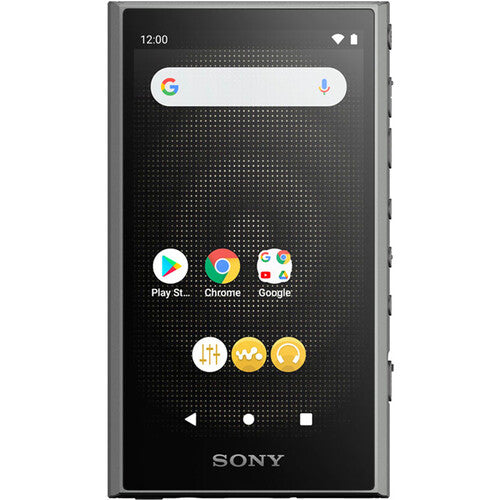Sony NW-A306 Walkman