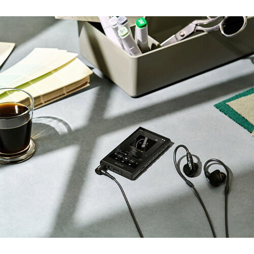 Sony NW-A306 Walkman
