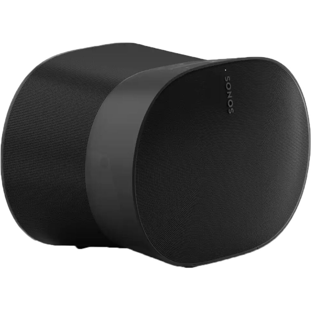 Sonos Era 300 (Black)
