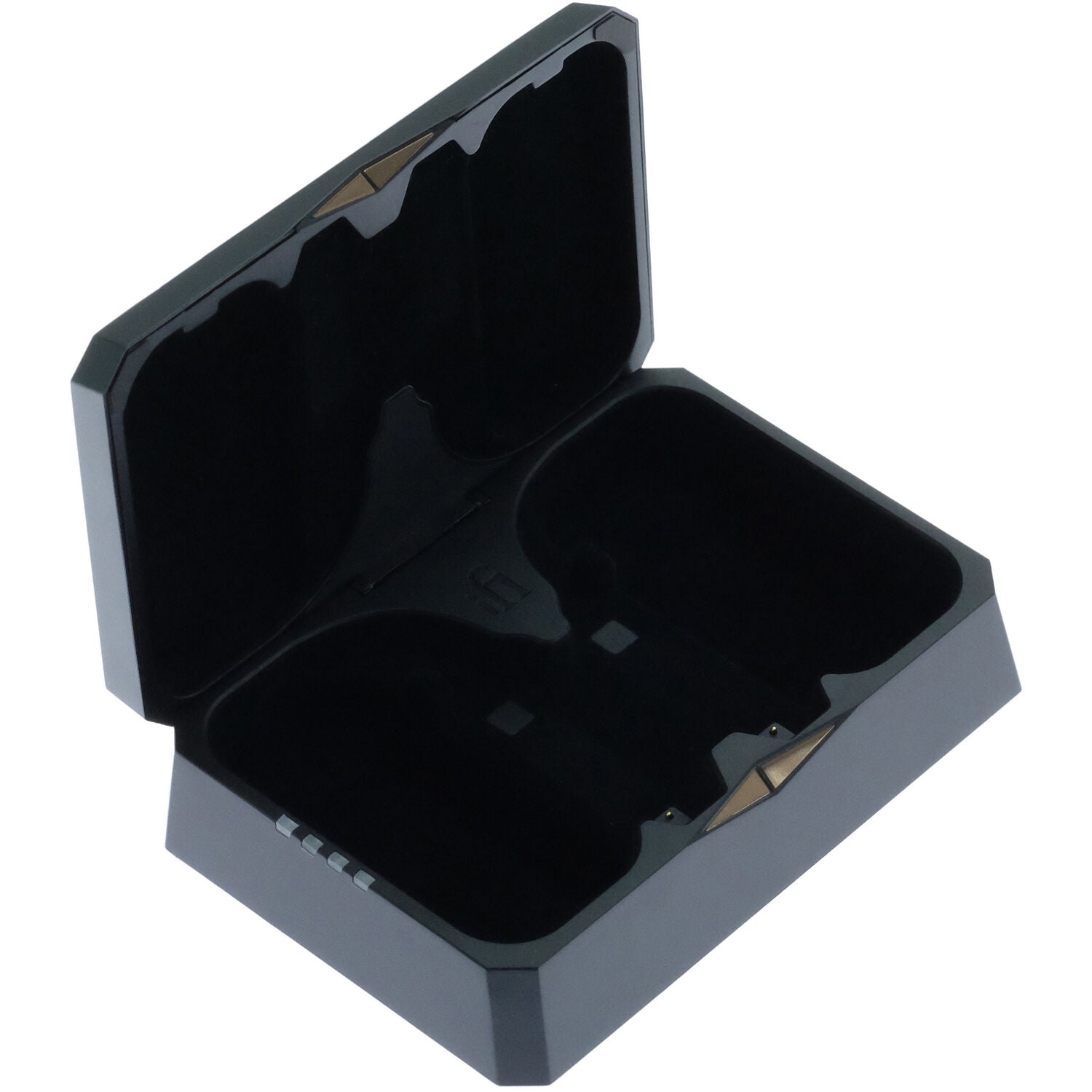 iFi Audio GO Pod