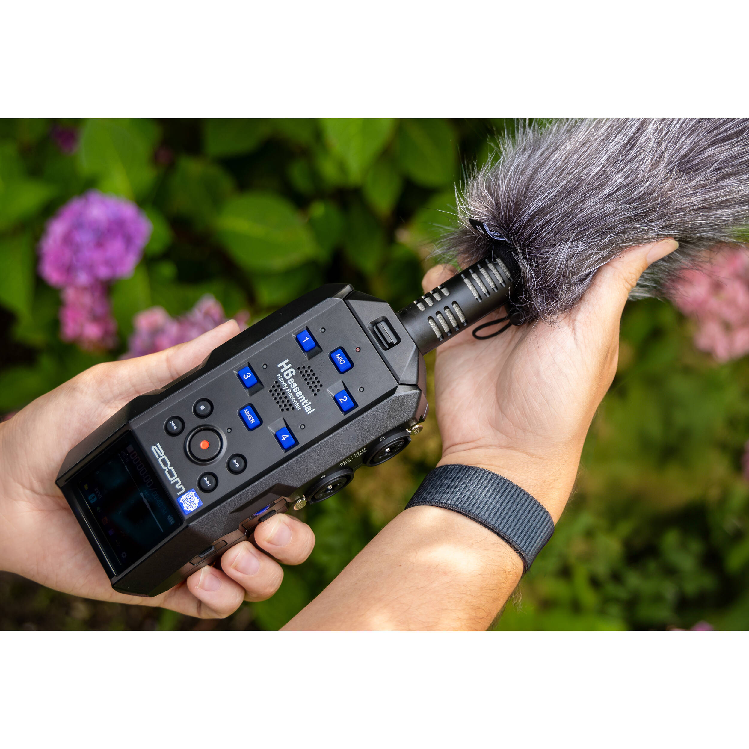 Zoom SSH-6e