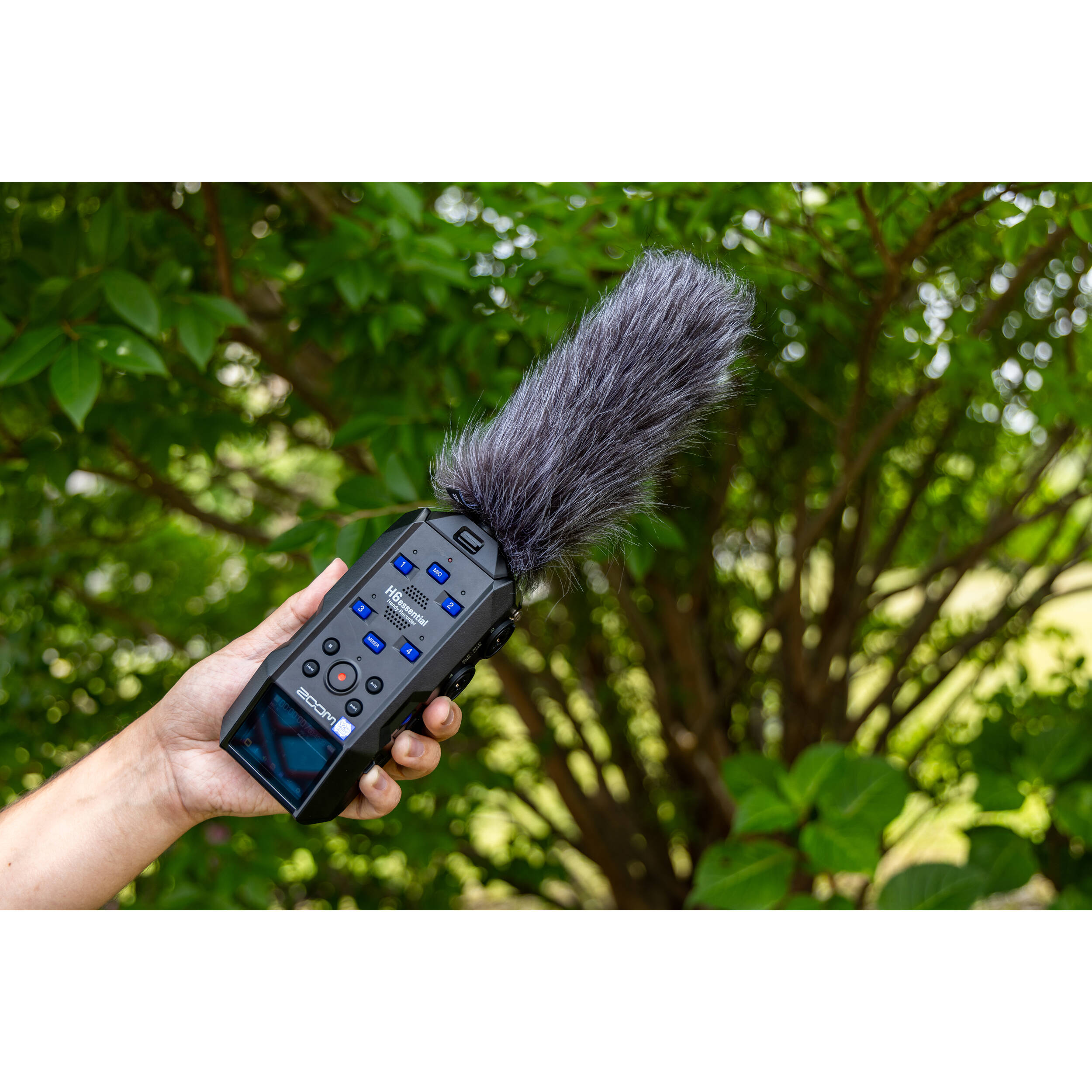 Zoom SSH-6e