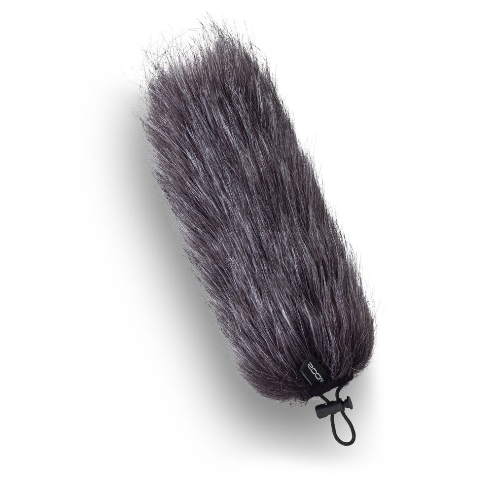 Zoom SSH-6e