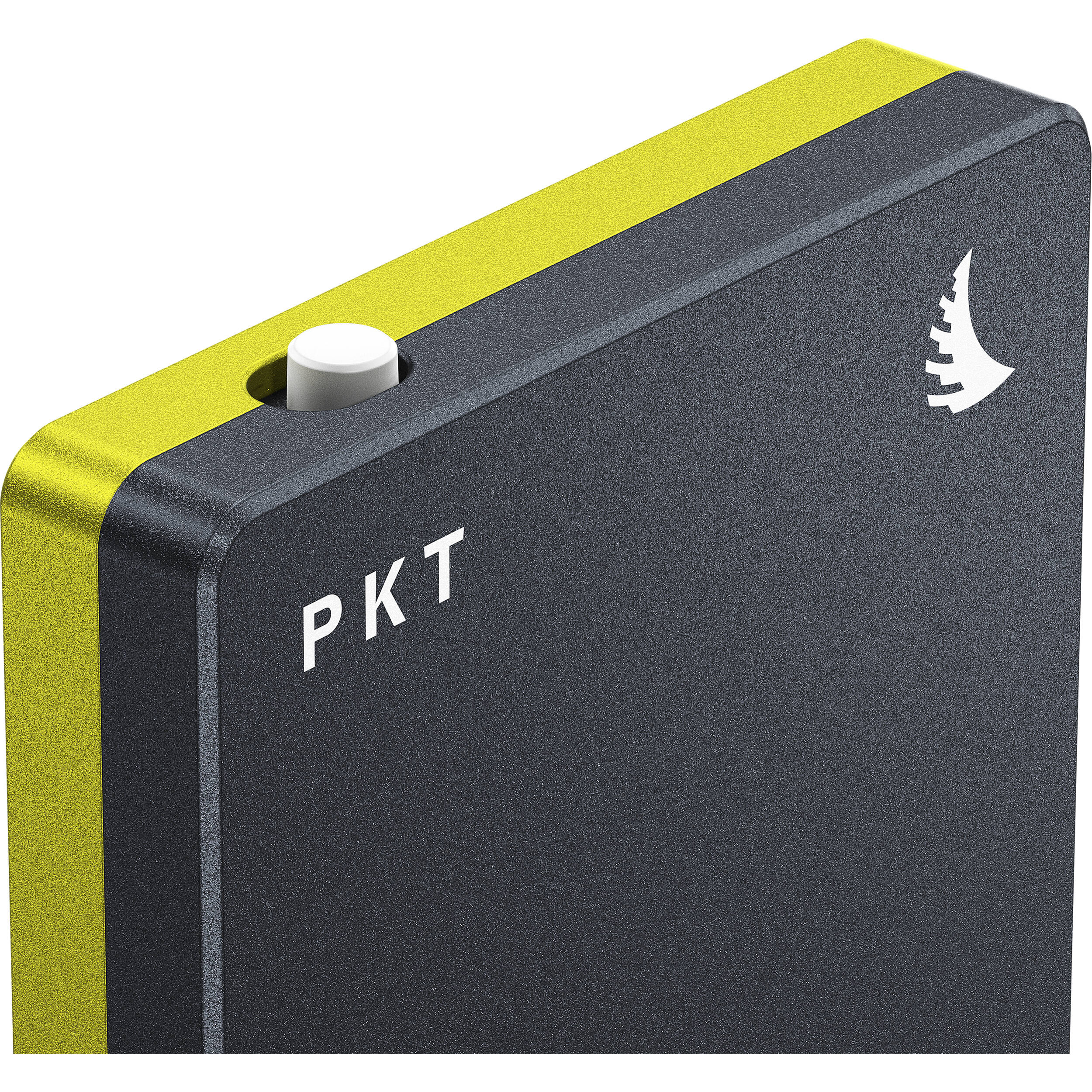 Angelbird SSD2GO PKT Bærbar SSD 2TB