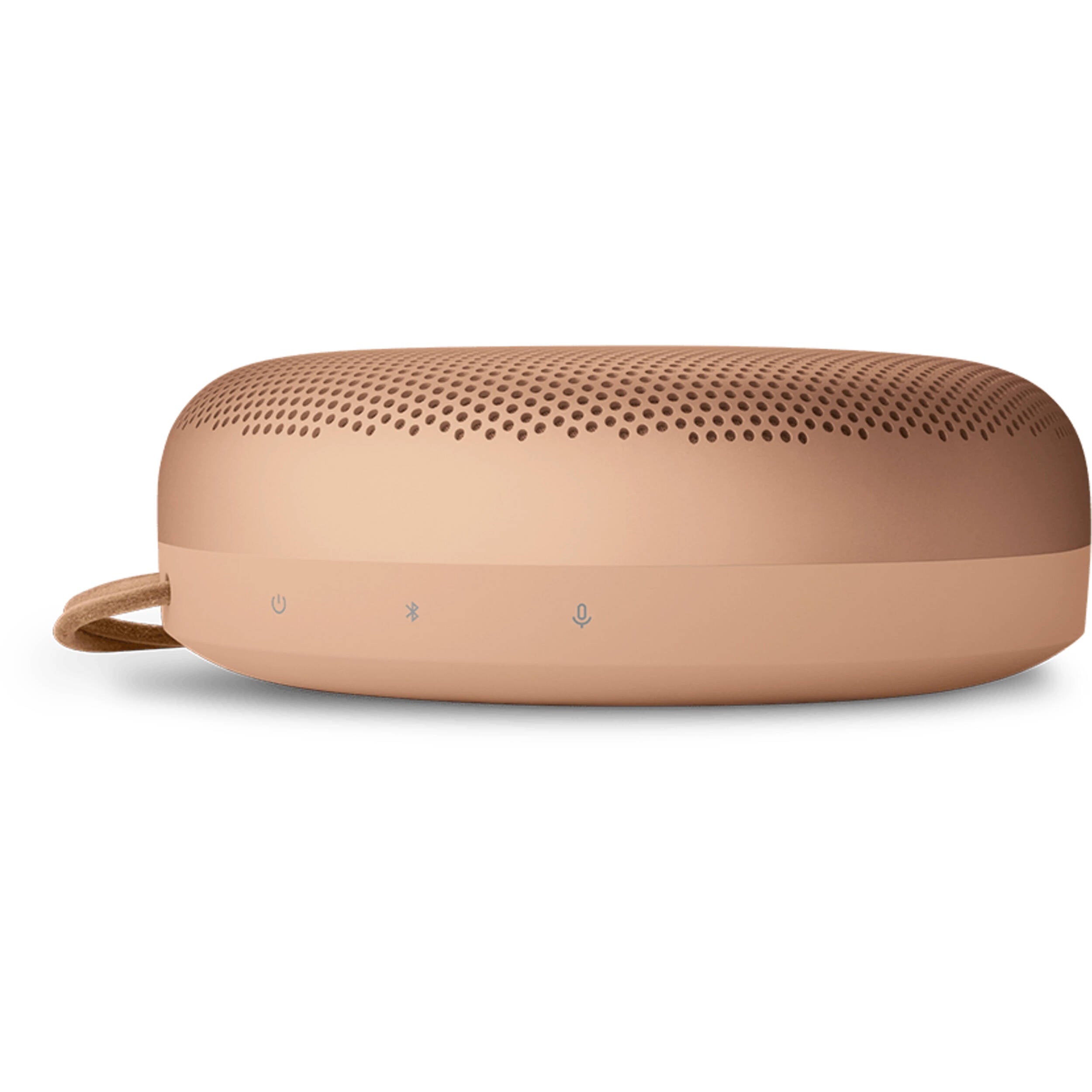 Bang & Olufsen Beosound A1 3rd Gen