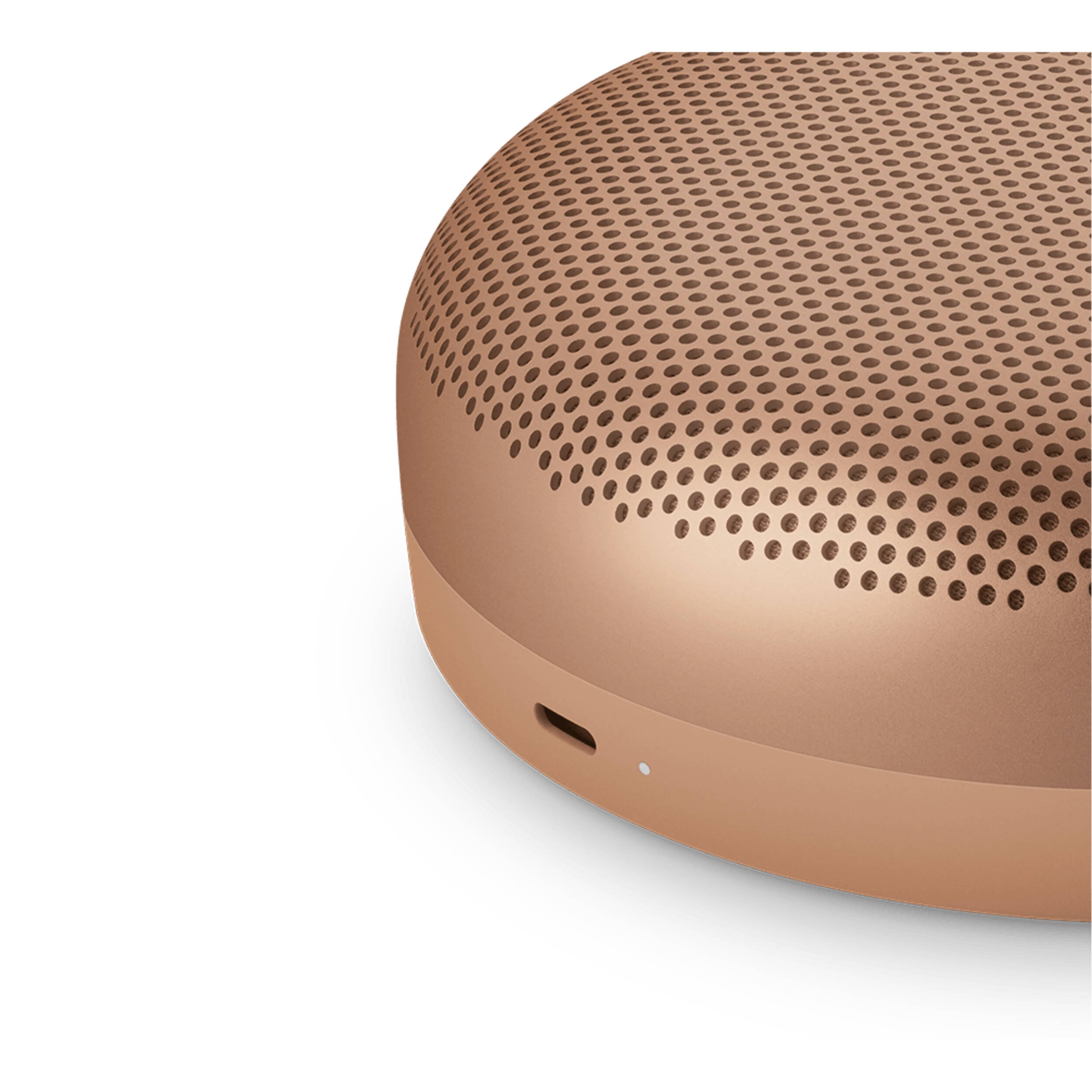 Bang & Olufsen Beosound A1 3rd Gen