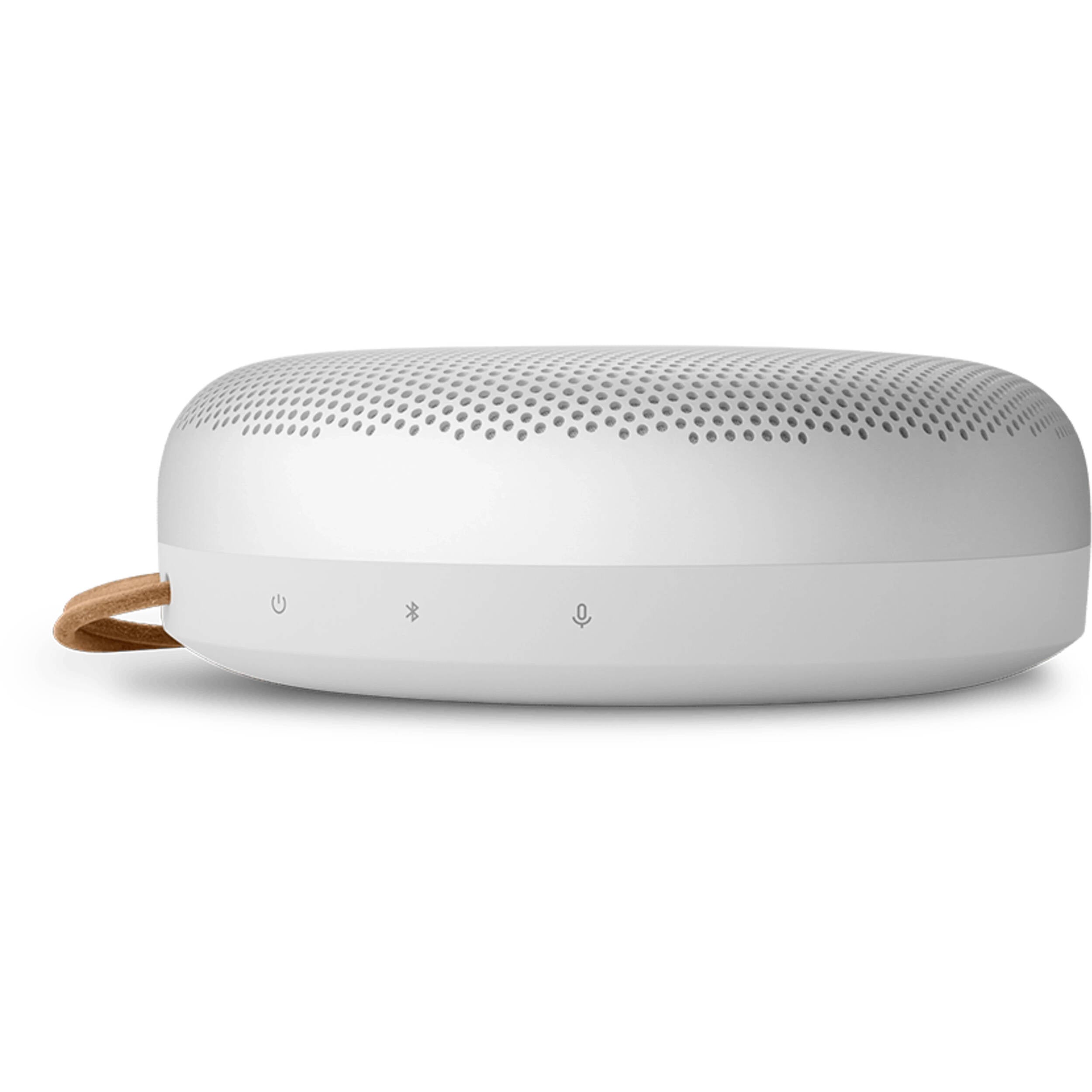 Bang & Olufsen Beosound A1 3rd Gen