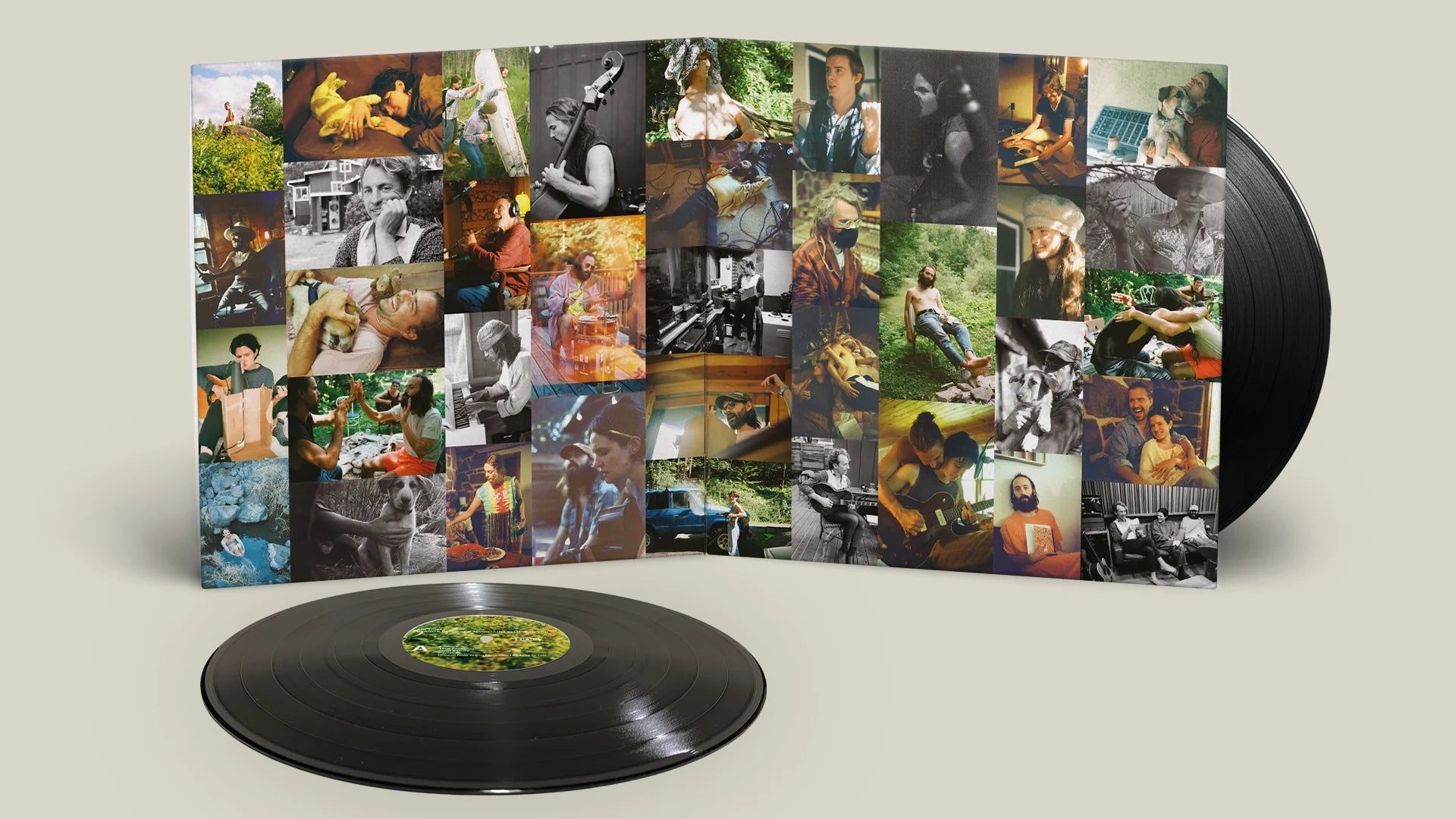 Big Thief - Dragon New Warm Mountain I Believe In You (Sort) Vinyl 2LP