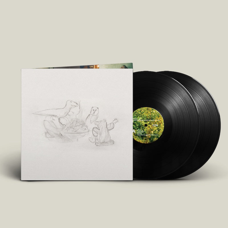 Big Thief - Dragon New Warm Mountain I Believe In You (Sort) Vinyl 2LP