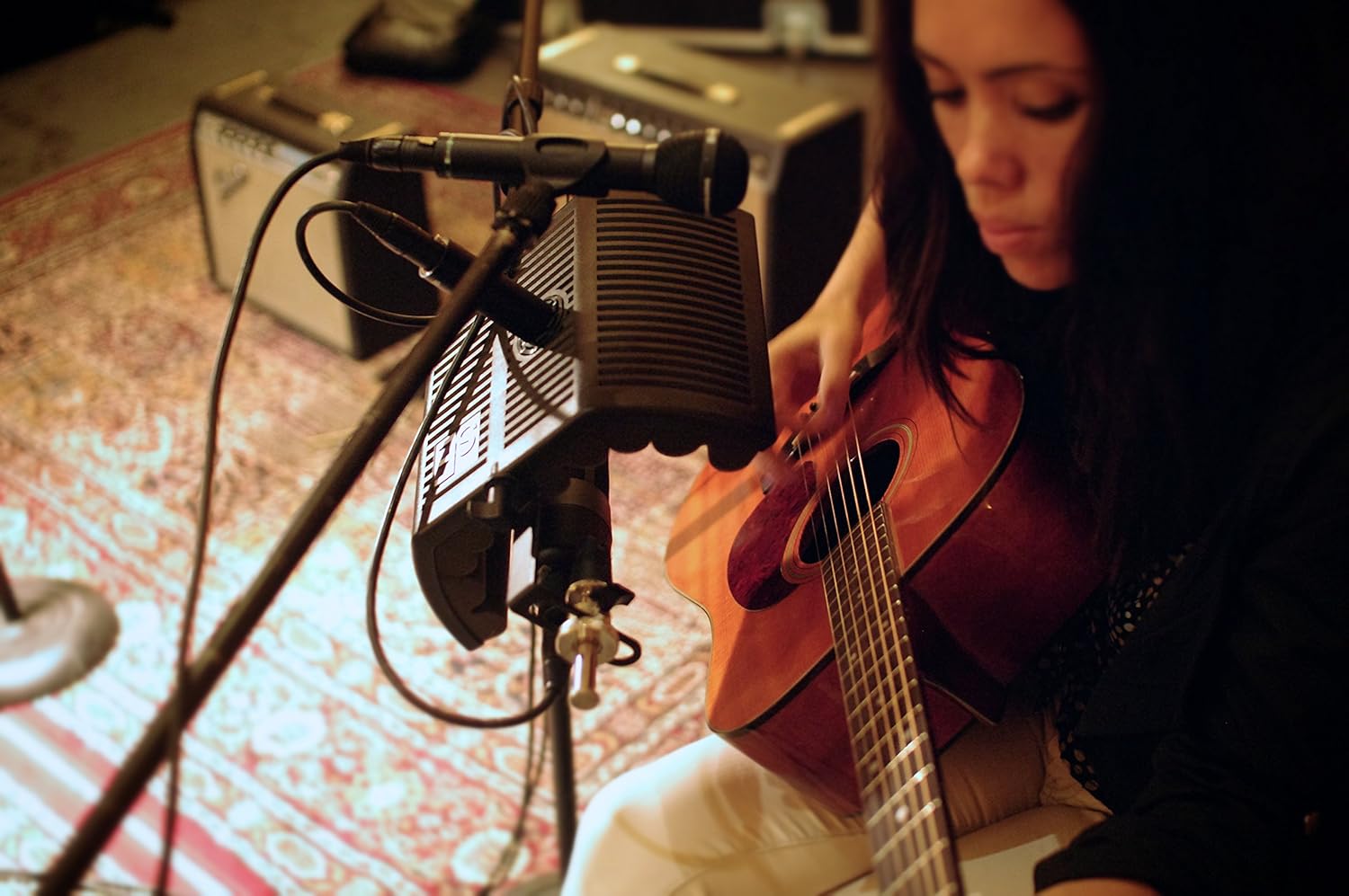 sE Electronics guitarRF