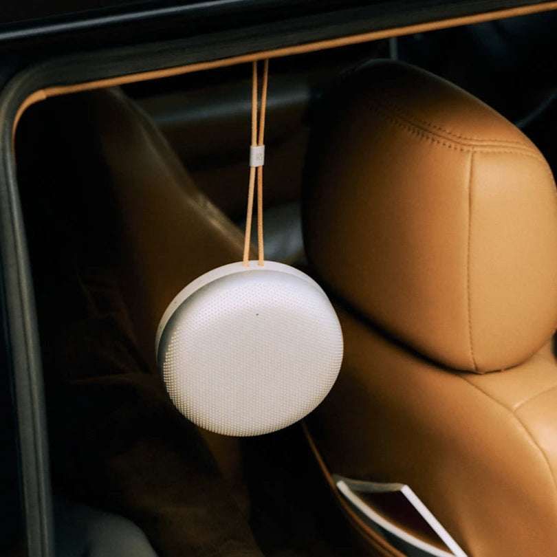 Bang & Olufsen Beosound A1 3rd Gen
