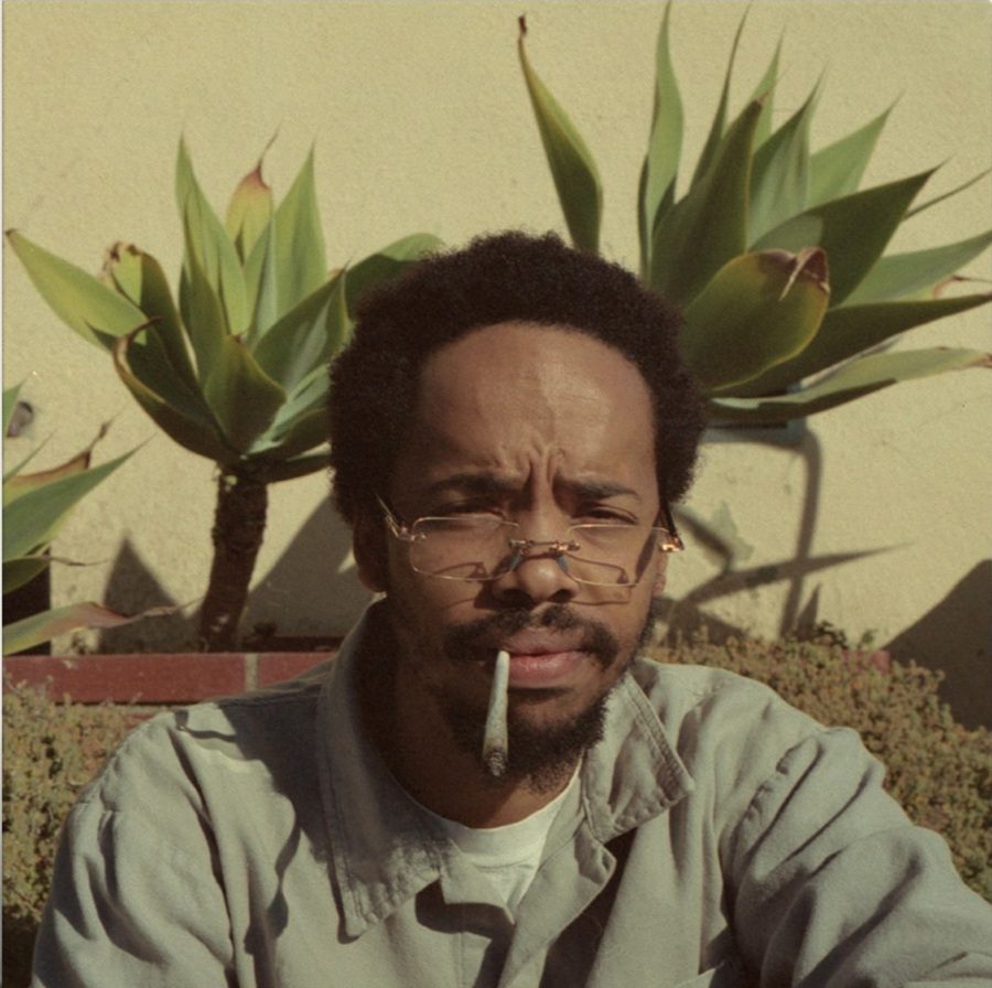 Earl Sweatshirt - Live Laugh Love (Black) Vinyl LP
