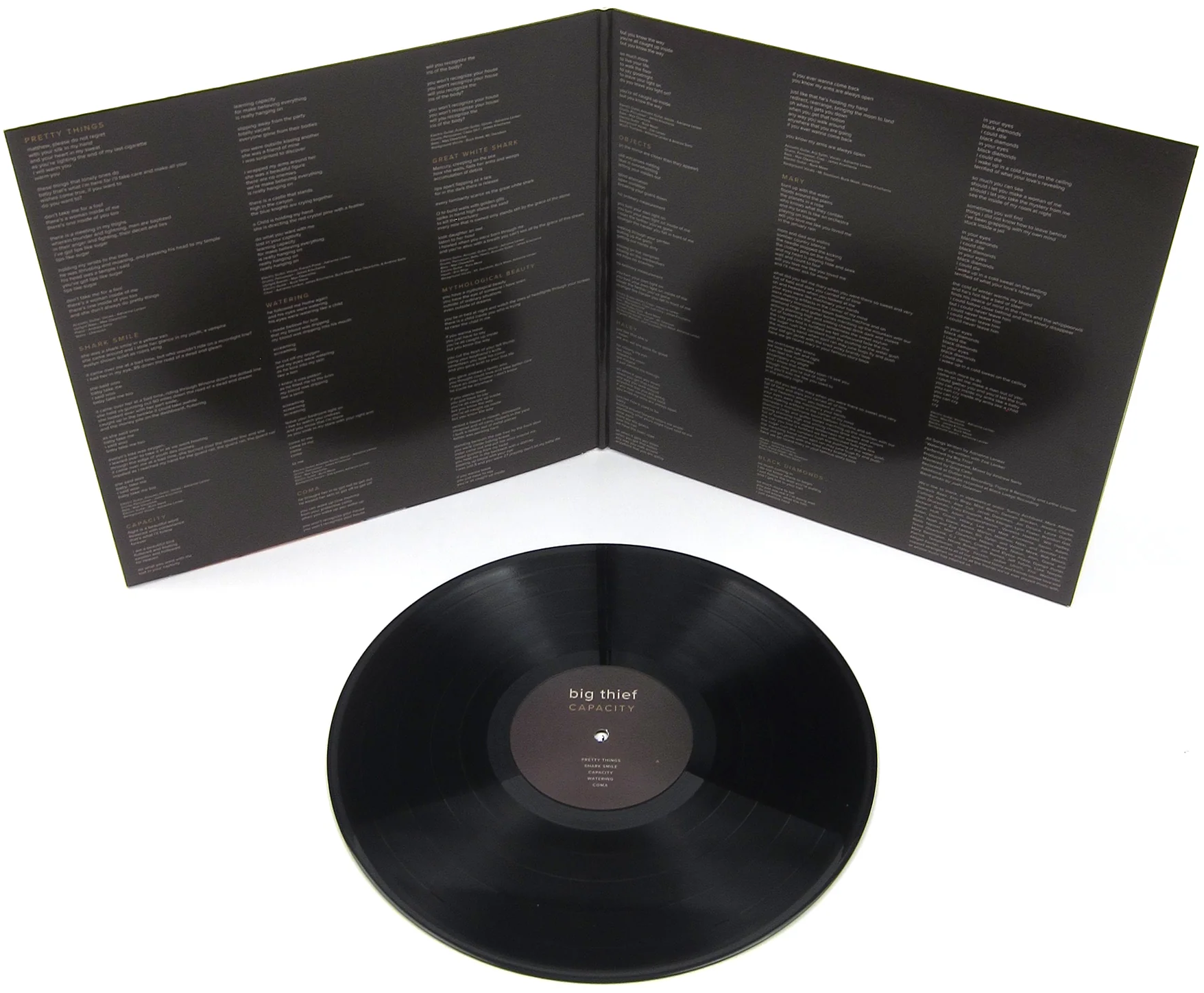 Big Thief - Capacity (Sort) Vinyl LP