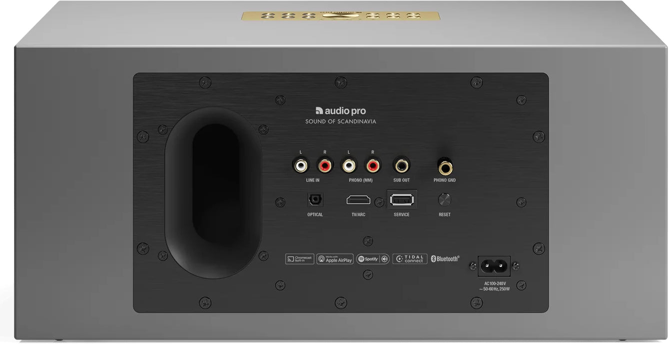Audio Pro C20 (Grå)
