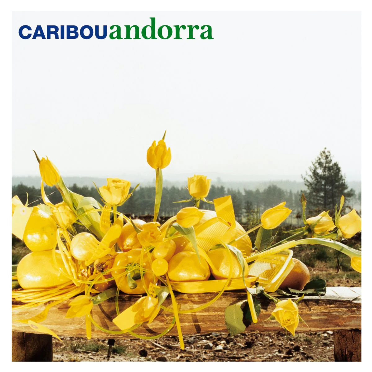 Caribou - Andorra (15-års jubilæumsudgave) (sort) vinyl LP
