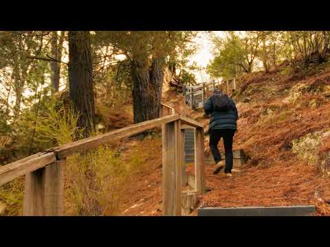 Indlæs video: