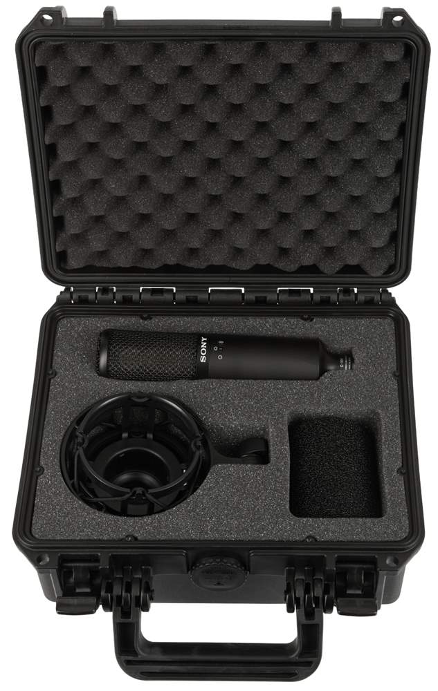 Sony C-100