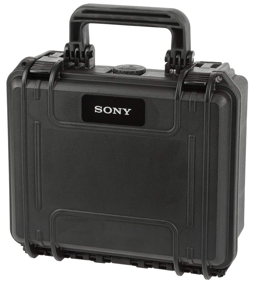 Sony C-100