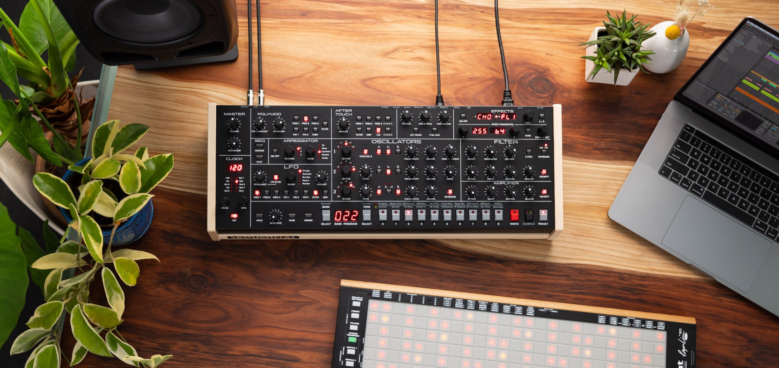 Sequential Trigon-6 Desktop