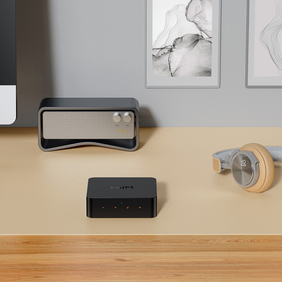 WiiM Pro Plus