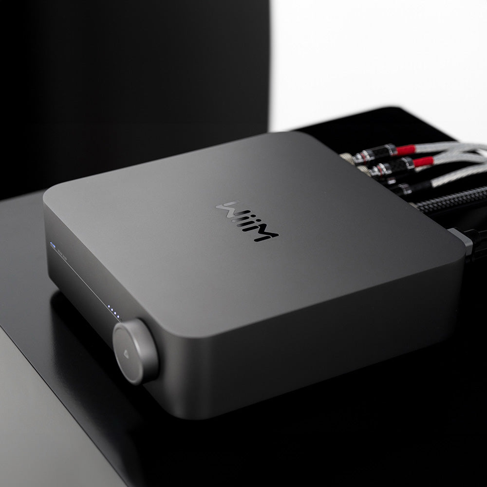 WiiM AMP (Grå)