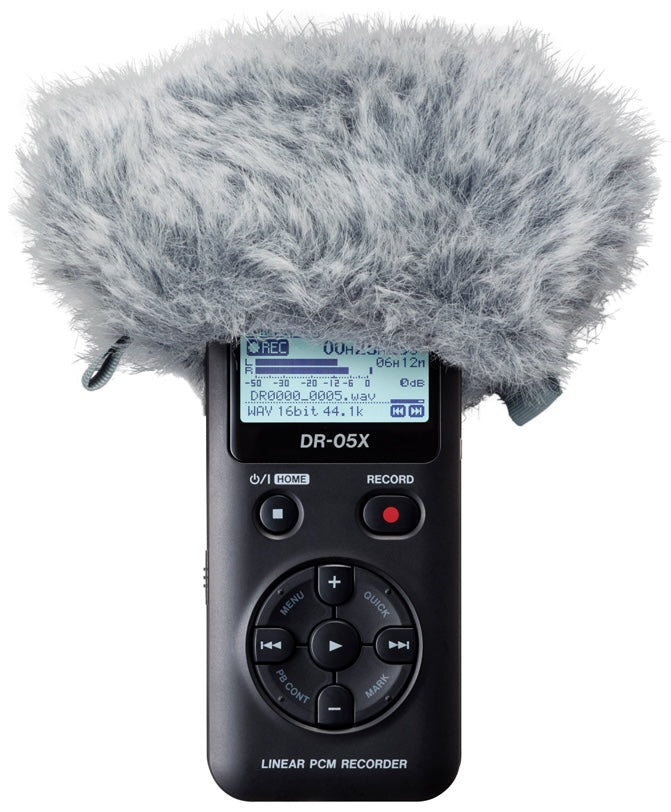 Tascam WS-11