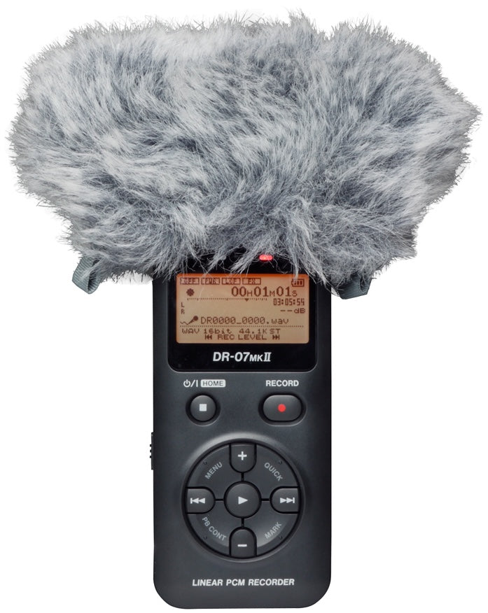 Tascam WS-11