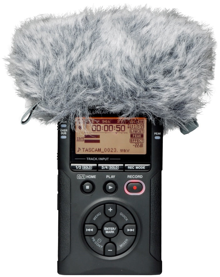 Tascam WS-11