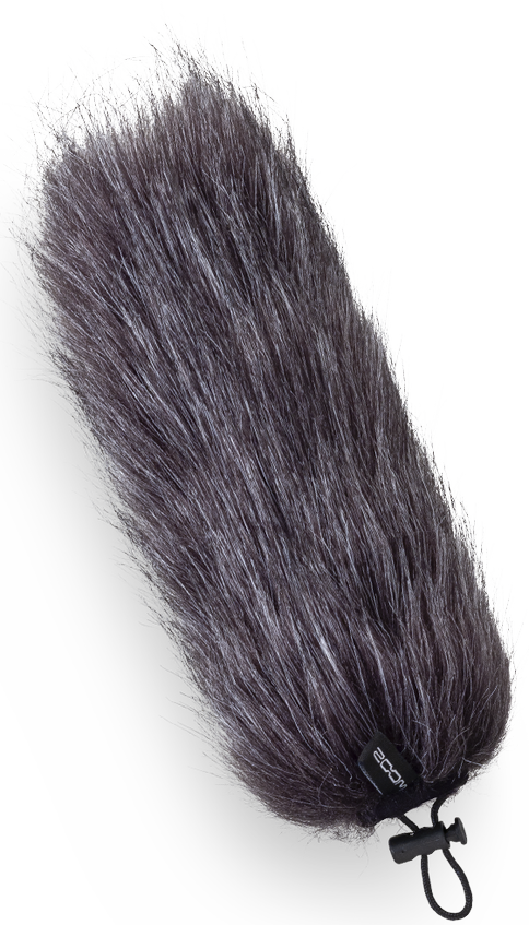 Zoom WSU-2