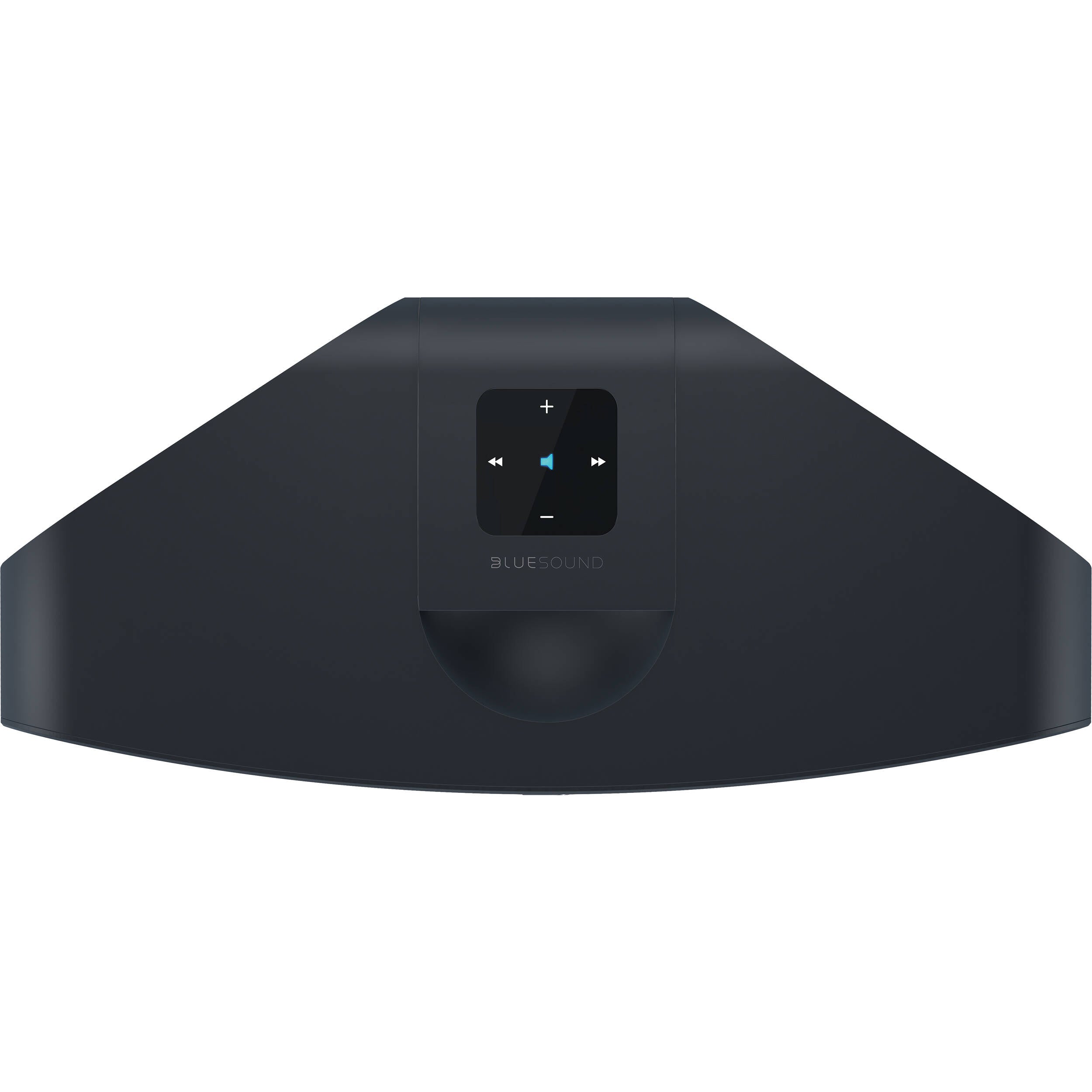 Bluesound Pulse 2i