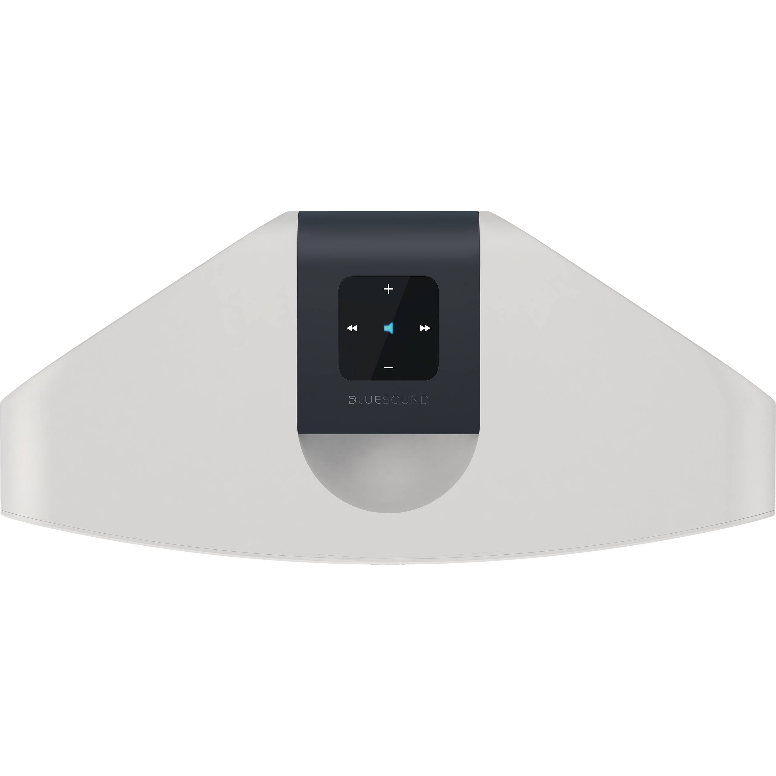 Bluesound Pulse 2i