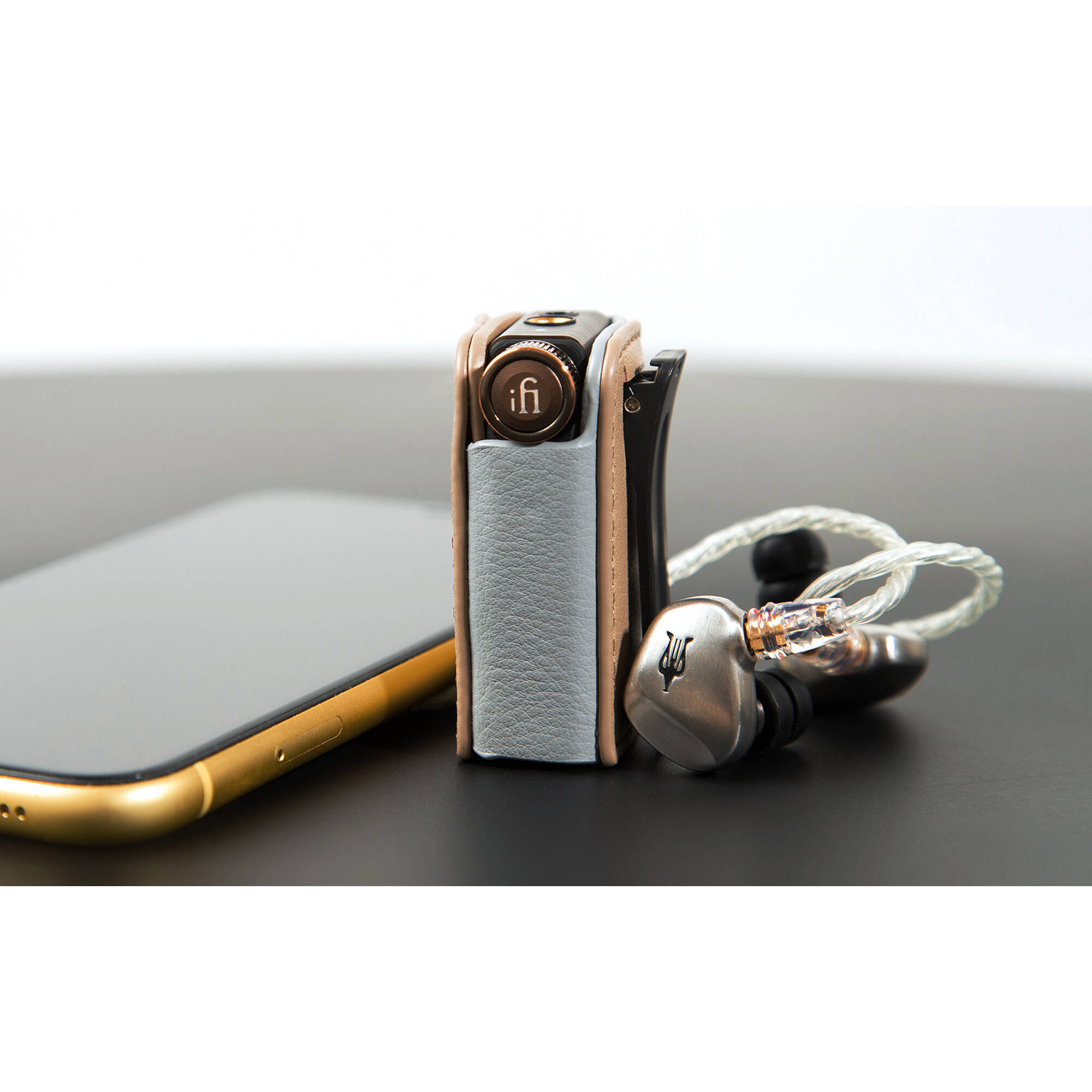 iFi Audio Go BLU Case