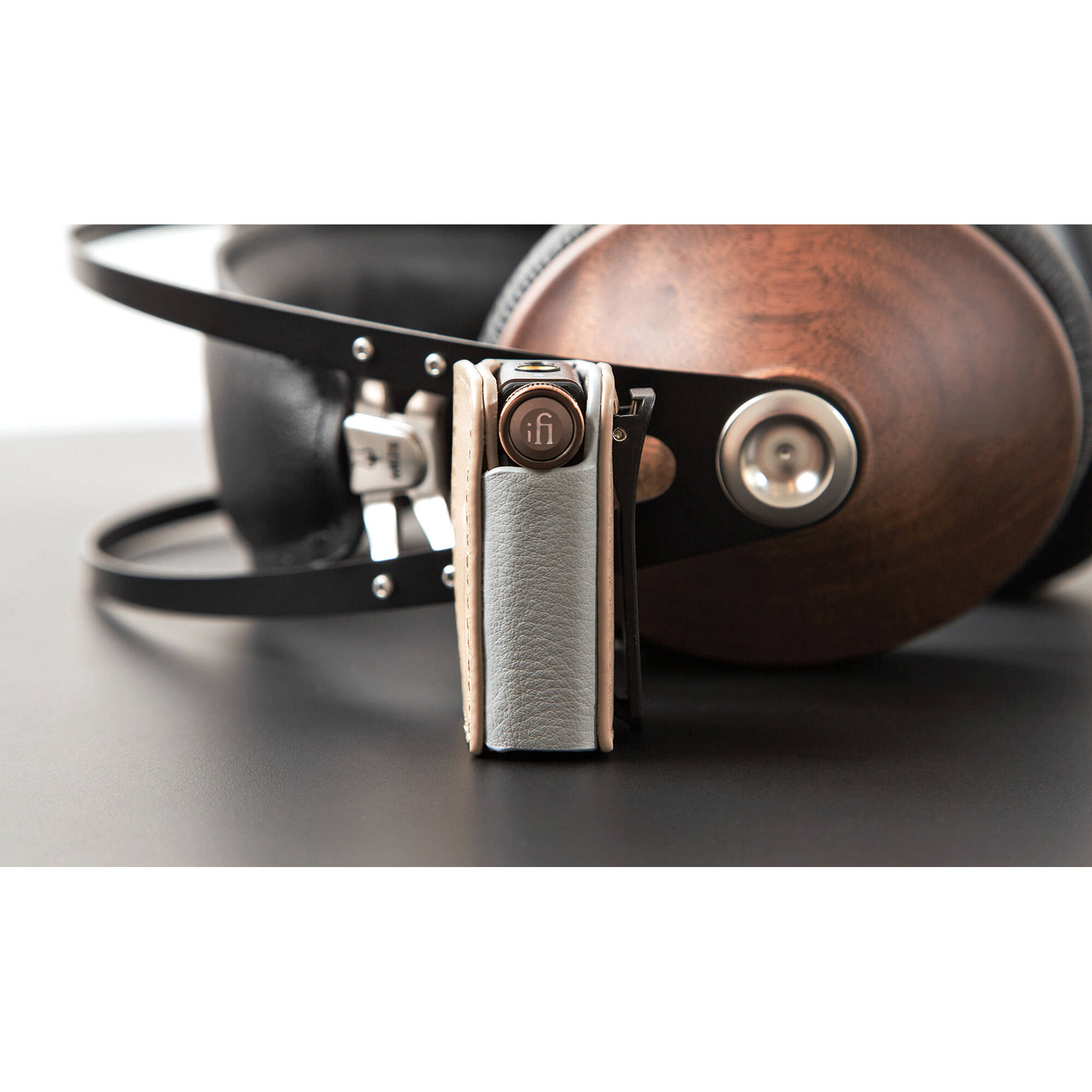 iFi Audio Go BLU Case