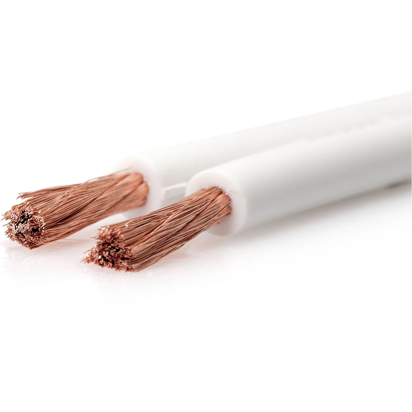 Essentials Classic 2 SC