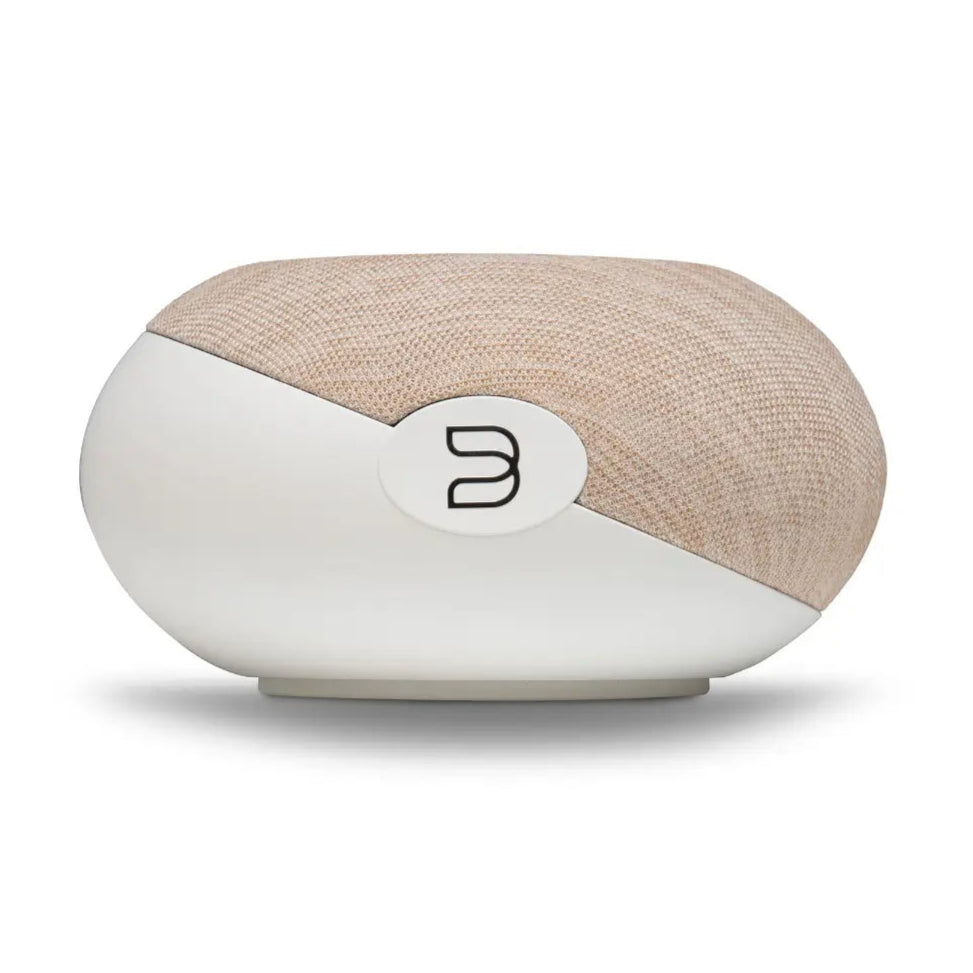 Bluesound Pulse Cinema Mini
