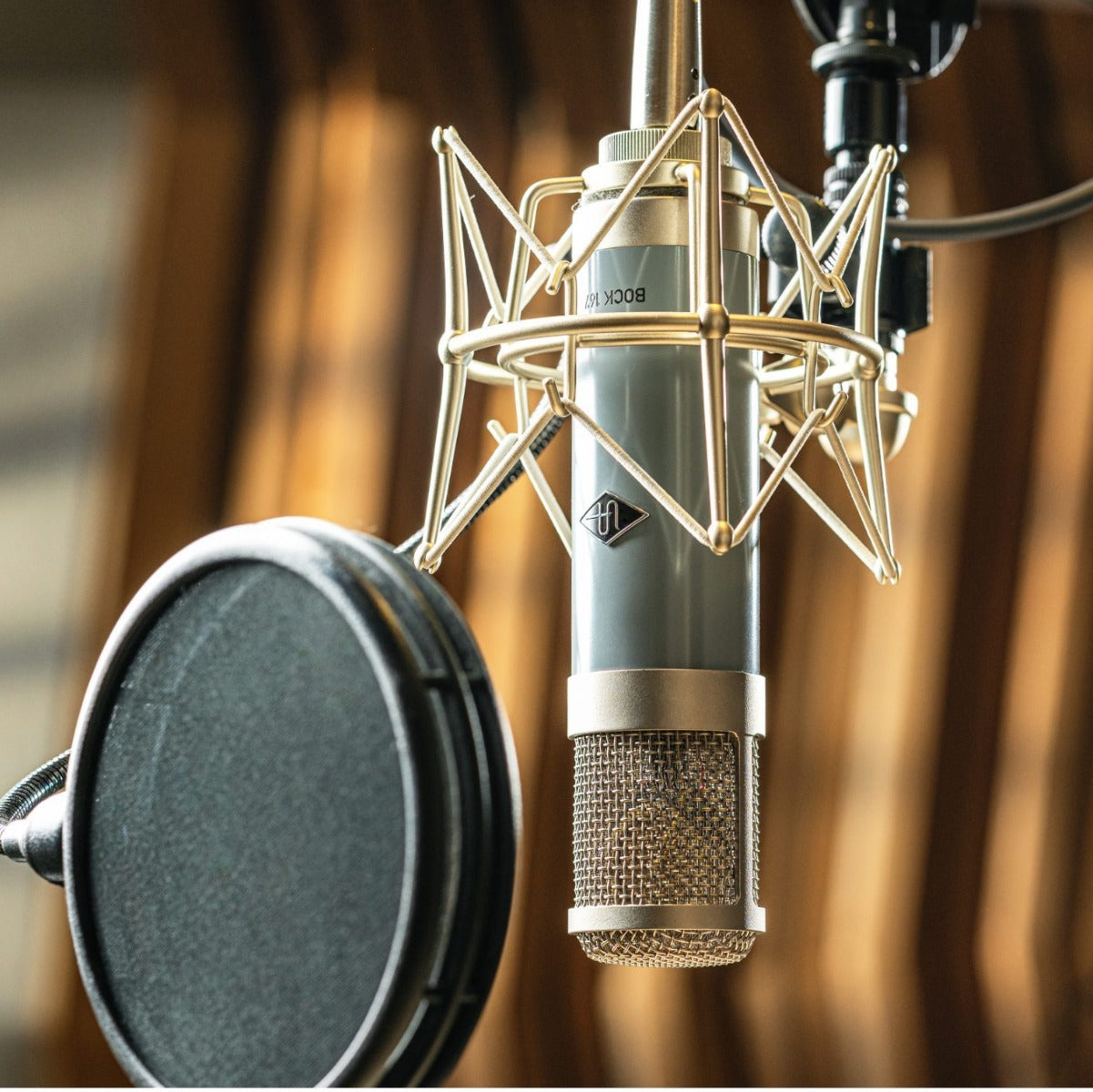 Universal Audio Bock 167